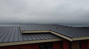 Best Roof Coating and Sealing  in Scissors, TX